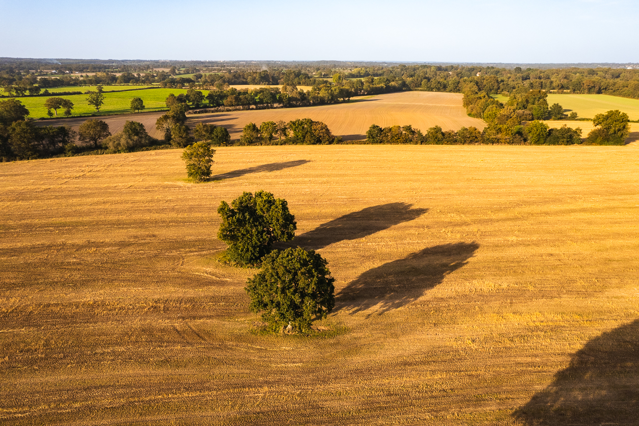 campagne saint hilaire de chaleons drone bocage - © Ypov Agency