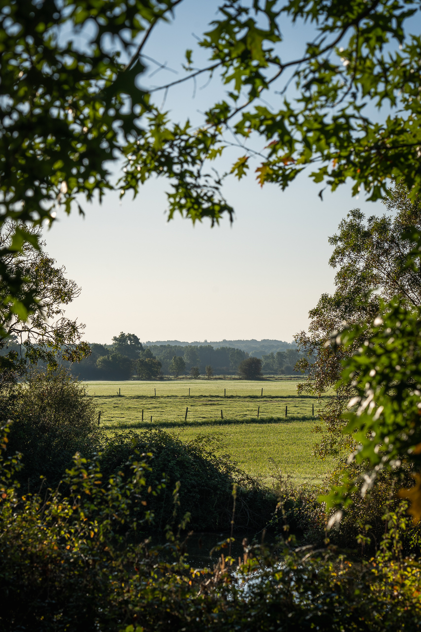 nature bocage cheix paturage vert - © Ypov Agency