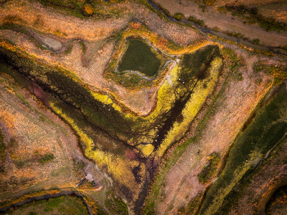 Le marais de Bourgneuf vu du ciel en été