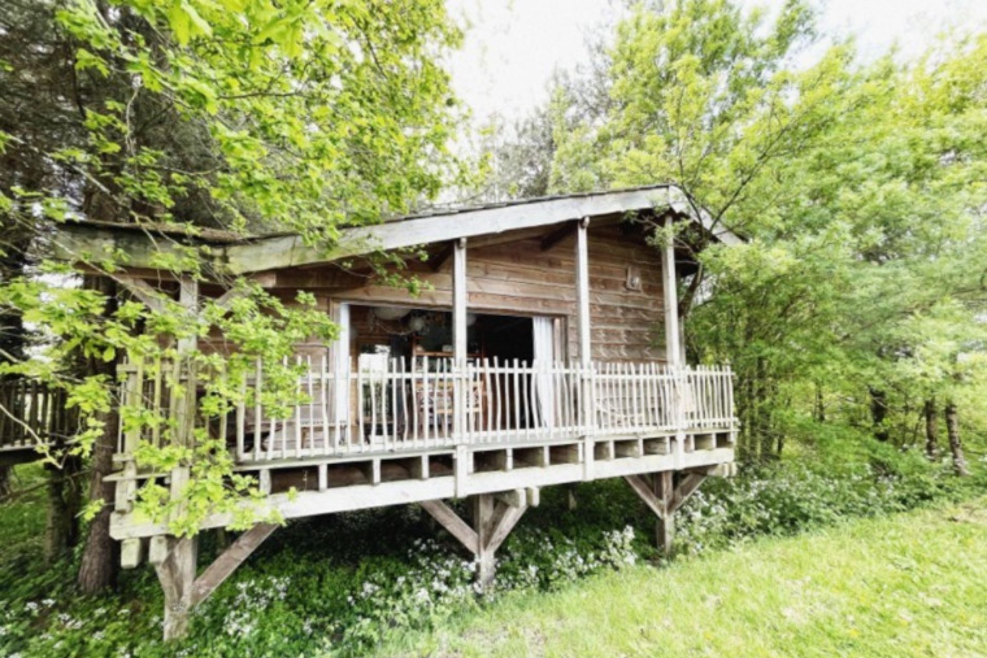 Le Repaire du Hibou Sainte-Pazanne - &copy; Le Repaire du Hibou
