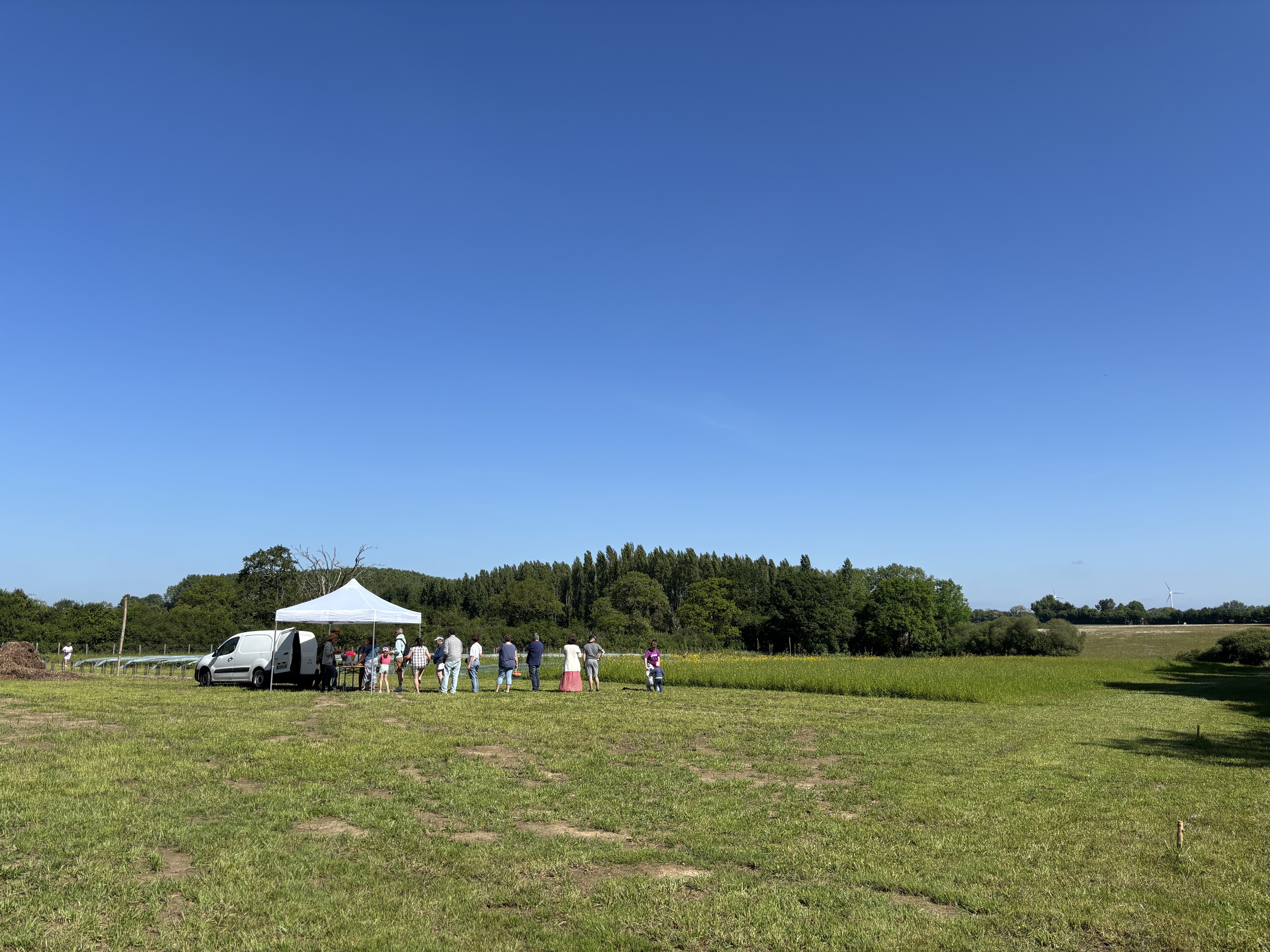 cueillette fraises Chauvé - &copy; Claudia Cassano Dromain
