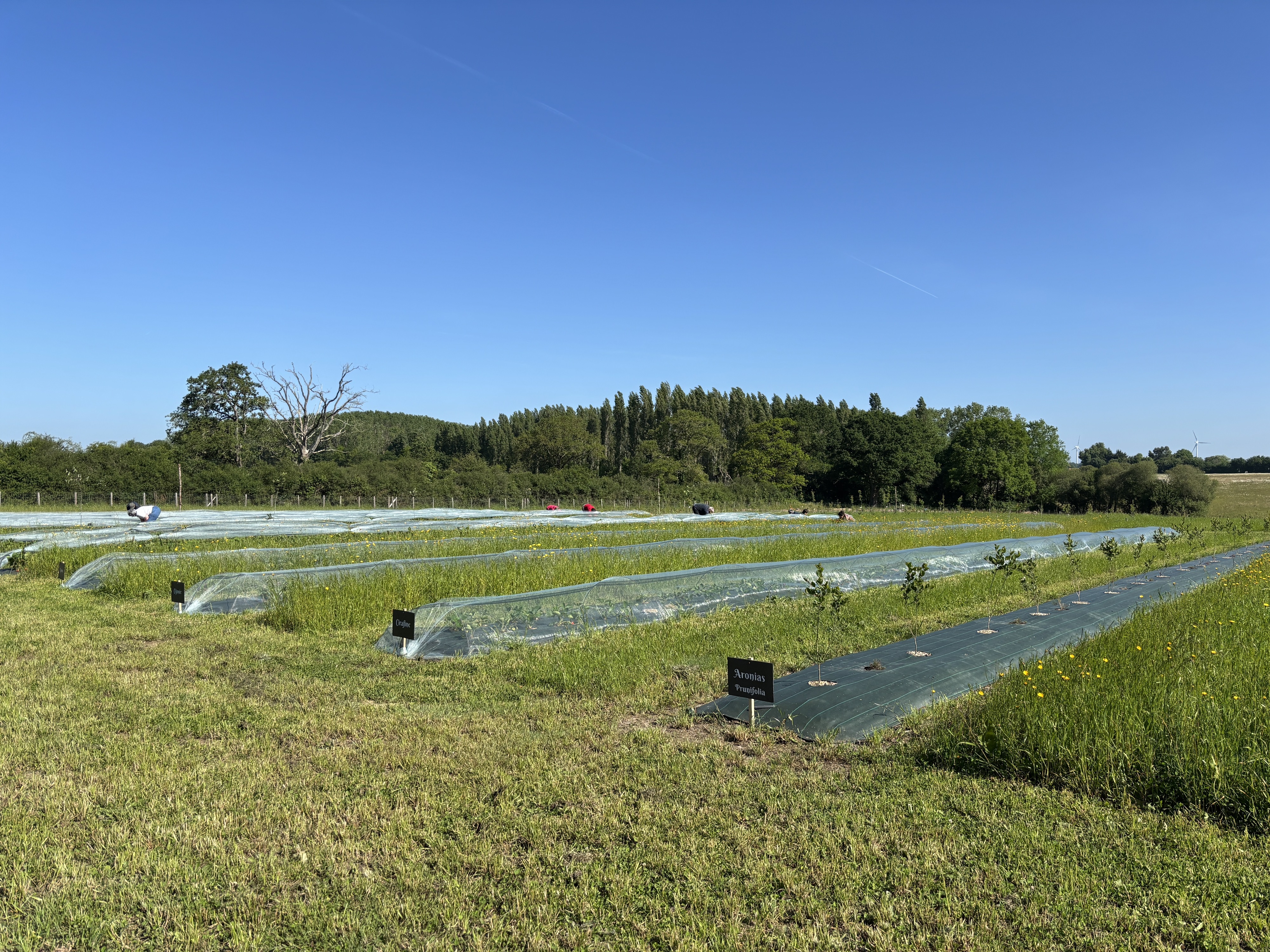 ferme fruitière et aromatique chauvé - &copy; Claudia Cassano Dromain