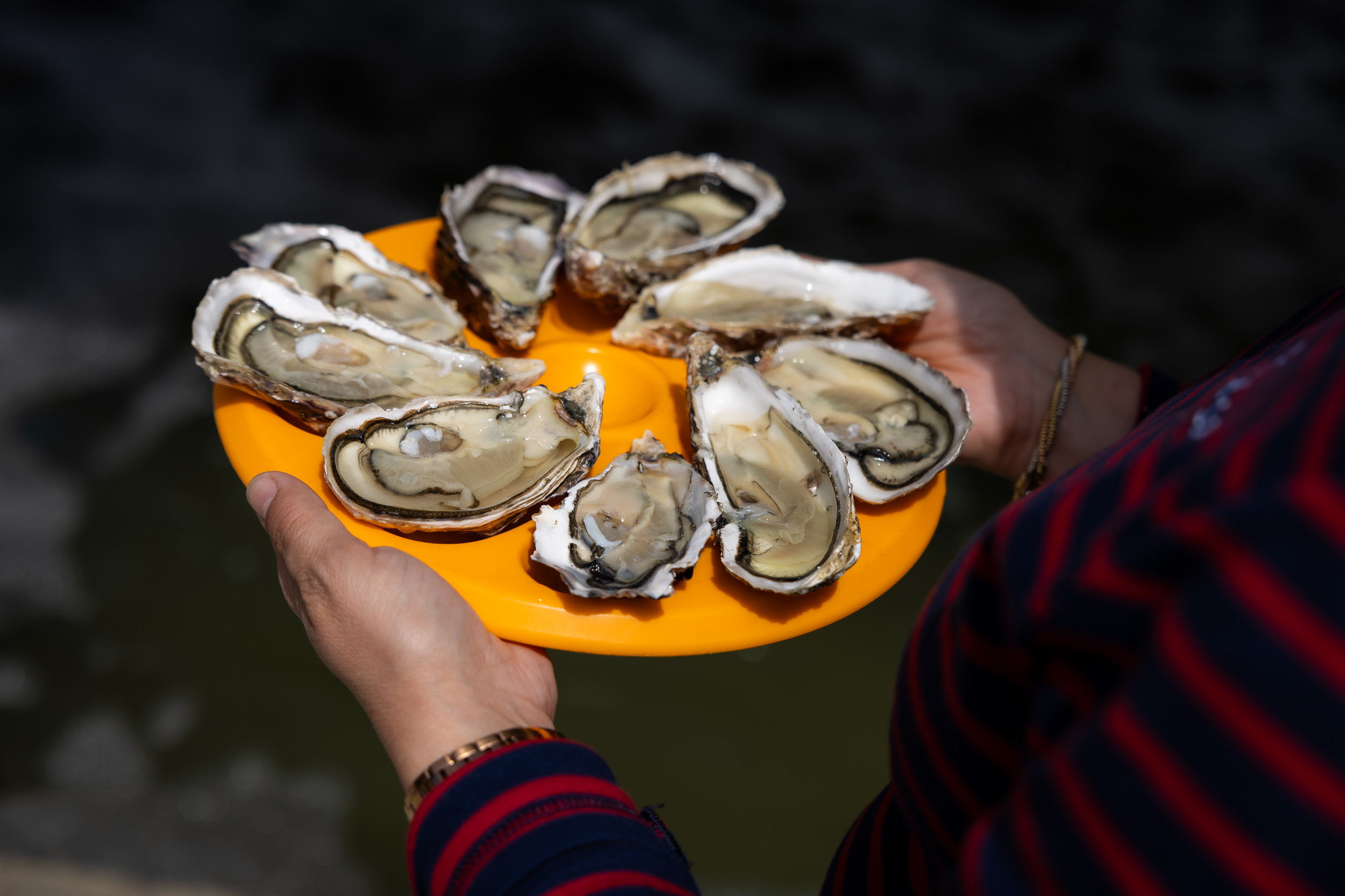 les-perles-de-jade-26548-31742 - &copy; Mélanie Chaigneau