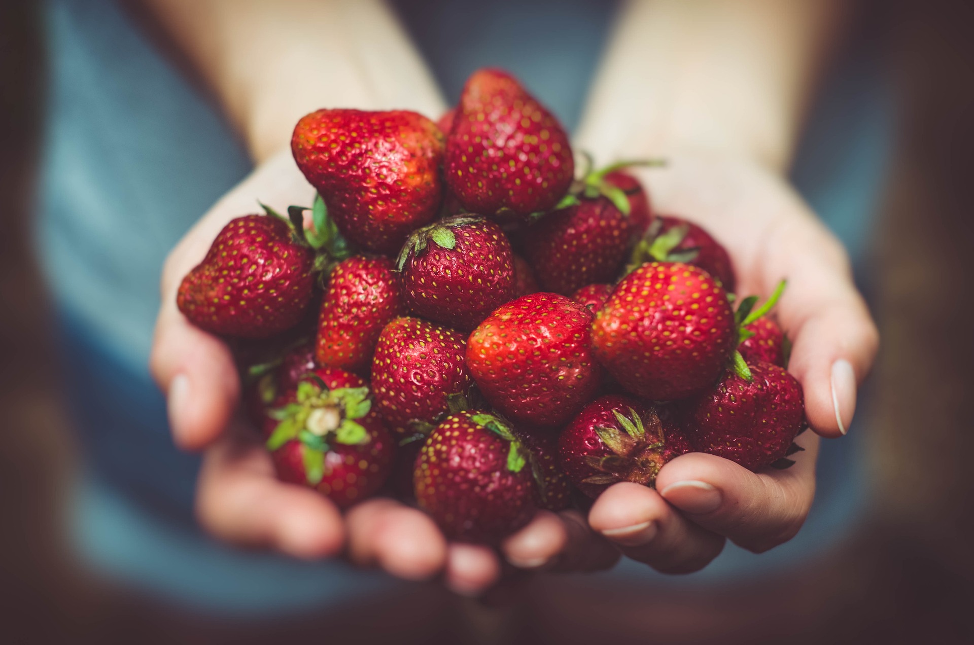 les-petits-fruits-de-la-baie-28232-29988 - © Pexels - Pixabay