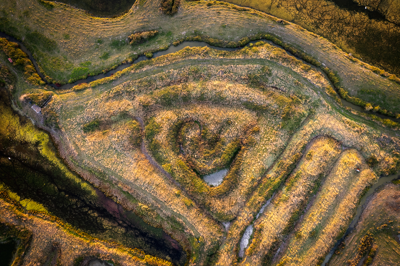 Marais Breton Villeneuve-en-Retz - © Ypov Agency