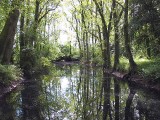 balade à pied iles enchantées chéméré chaumes en retz