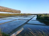 circuit du collet, rando, randonnée, rando brod de mer, port du collet, mer, campgane, marais, dune, pecherie, marais salant, les moutiers en retz