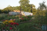 le pot'aux fleurs jardin naturel plantes aromatiques florence daspremont chauvé pays de retz proche pornic