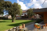 Le jardin arboré