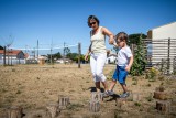 aire de jeux, pique nique La Plaine sur Mer, jeux enfants, jeux enfants la plaine sur mer