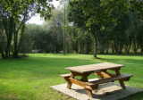 Aire de pique-nique du jardin de la Bascule