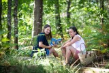 forêt Princé chéméré nature balade détente 