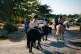 Balade Poney Eden Villages La Pointe Saint Gildas