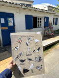 atelier boutique créative artisant préfailles 