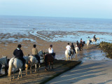 Equestrian centre Horse riding for children near Pornic