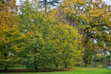 chauve-parc-loisirs-2019-patrick-gerard-bd-5-32694