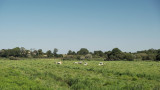circuit-port-saint-pere-safari-tenu-2021-damien-dufour-bd-20-32679