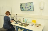 Clinique vétérinaire du Grand Large