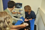 Clinique vétérinaire du Grand Large
