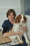 CLINIQUE VETERINAIRE DU GRAND LARGE