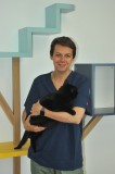 CLINIQUE VETERINAIRE DU GRAND LARGE
