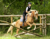 Cross en pleine nature