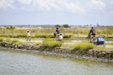 Île de Noirmoutier, vélo, tourisme, 