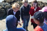 Découverte de la pêche à pied, crustacés, pêche, coquillage