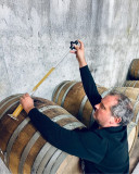 domaine viticole des hautes noelles, pornic, destination pornic, vins biologiques