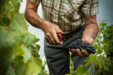 Domaine Eric Chevalier