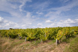 Domaine Eric Chevalier