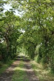 Destination pornic, wanderungen, circuit rando, sources et menhirs, circuit, balades, st michel, tharon	