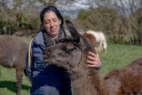 L'écrin de la belle étoile, llama and alpaca breeder 