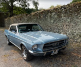 Oldtimer, Vintage, Fahrzeug, Sammlung, Mustang, Mercedes, Retro, schönes Auto, Dreharbeiten, Hochzeit