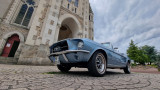 classic car, vintage, vehicle, collection, Mustang, Mercedes, retro, beautiful car, filming, wedding