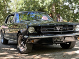 voiture ancienne, vintage, véhicule, collection, Mustang, Mercedes, rétro, belle voiture, tournage, mariage