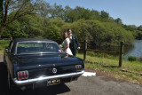 classic car, vintage, vehicle, collection, Mustang, Mercedes, retro, beautiful car, filming, wedding