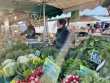 Ecofolies farm market Sainte-Pazanne