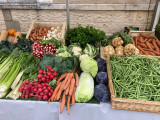 Ferme Ecofolies marché Sainte-Pazanne