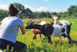 Ferme pédagogique Sainte Pazanne