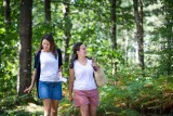 Flânerie au coeur de la forêt de Princé, Chéméré