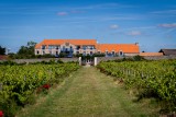 jardin pornic, jardin potager pornic, balade jardin pornic, visiter potager pornic, la fontaine aux bretons pornic, vigne pornic?  eco-domaine la fontaine, eco-domaine, eco-domaine la fontaine Pornic, eco-domaine Destination Pornic