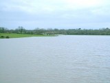 Etang du Gros Caillou