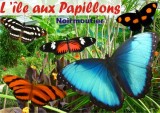 ile-aux-papillons ZOO VOLIERE NOIRMOUTIER PORNIC