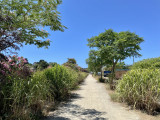 Jardin de la Ria