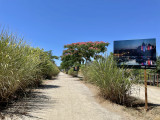 Jardin de la Ria avec une exposition outdoor