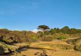 jeûne, randonnée, loire atlantique, santé, océan atlantique, océan