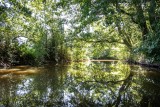 Le canal de Haute Perche en kayak