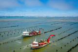 moules de bouchot La Plaine sur Mer