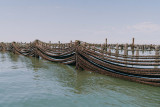 parc moules bouchot la plaine sur mer